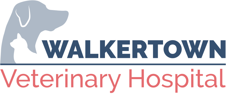 Walkertown Veterinary Hospital