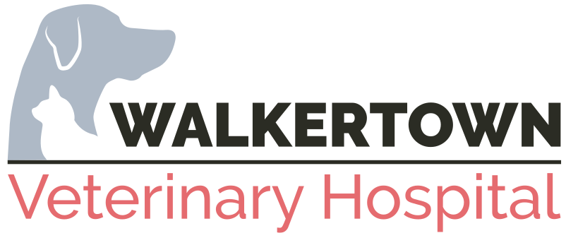 Walkertown Veterinary Hospital